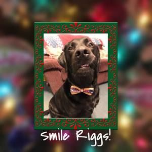 Meet your Posher, Janelle